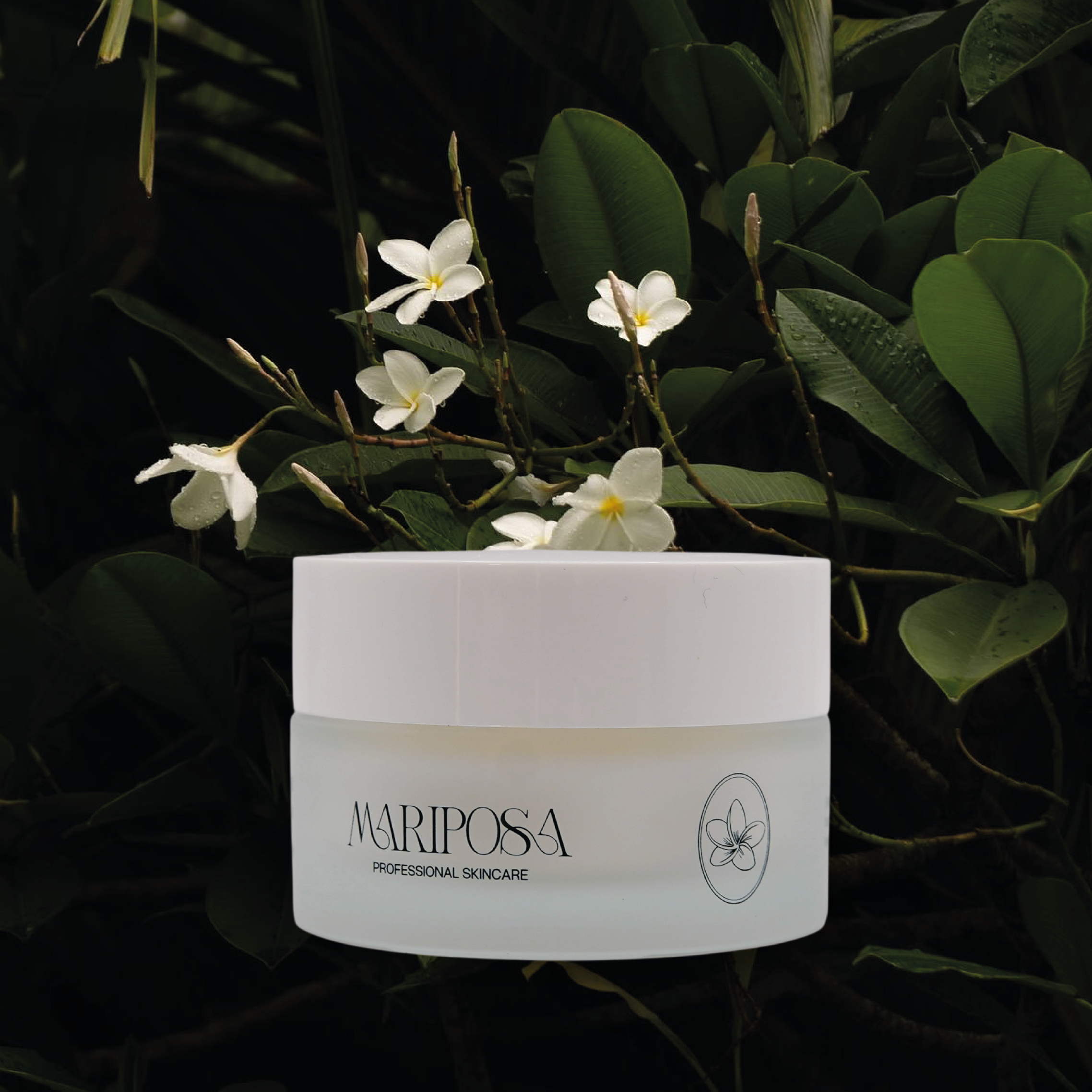 Crema Mariposa