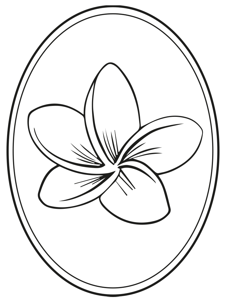 Frangipani Mariposa